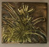 Click for more details.